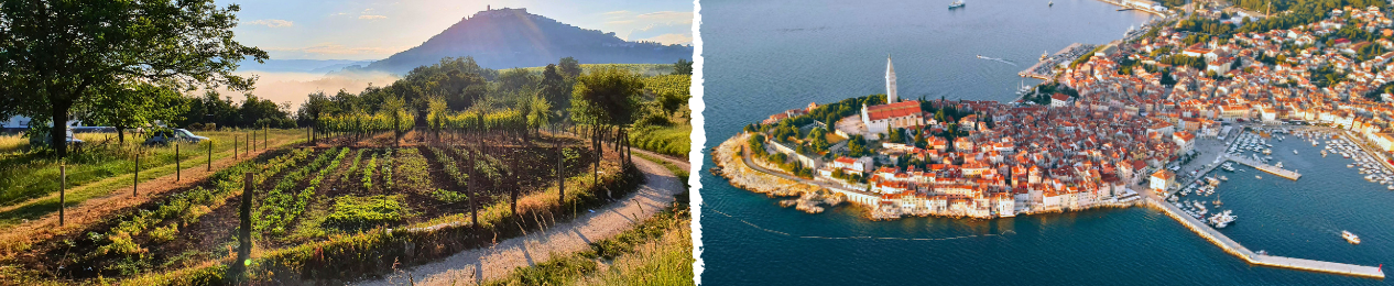 Isztria félsziget tájkép